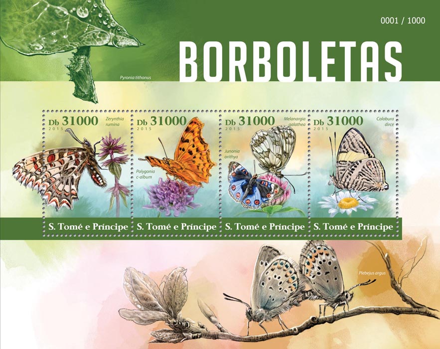butterflies16