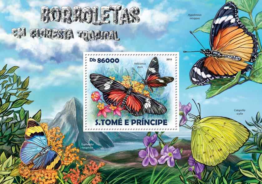 butterfly20