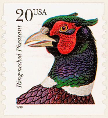 Pheasant counts decline in North Dakota