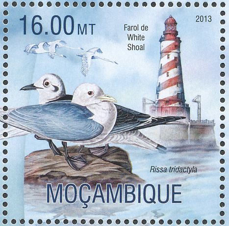 Britain’s seabird colonies face catastrophe