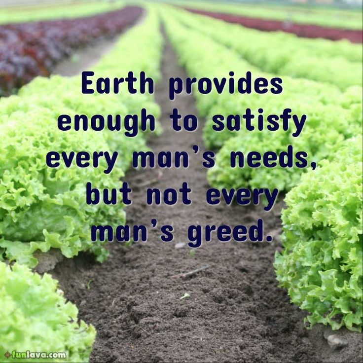 nature quote
