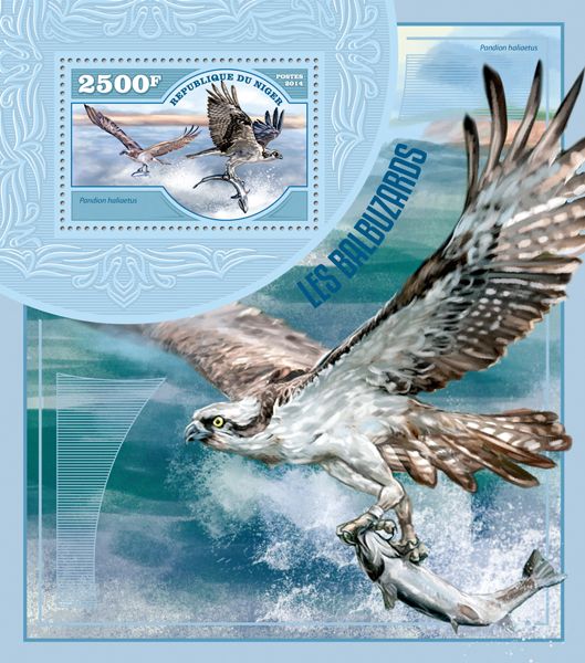 Bay’s Osprey Population in Decline… Again