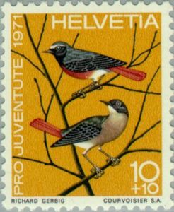 Common-Redstart-Phoenicurus-phoenicurus