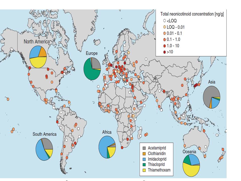 Worldwide honey contamination with neonics