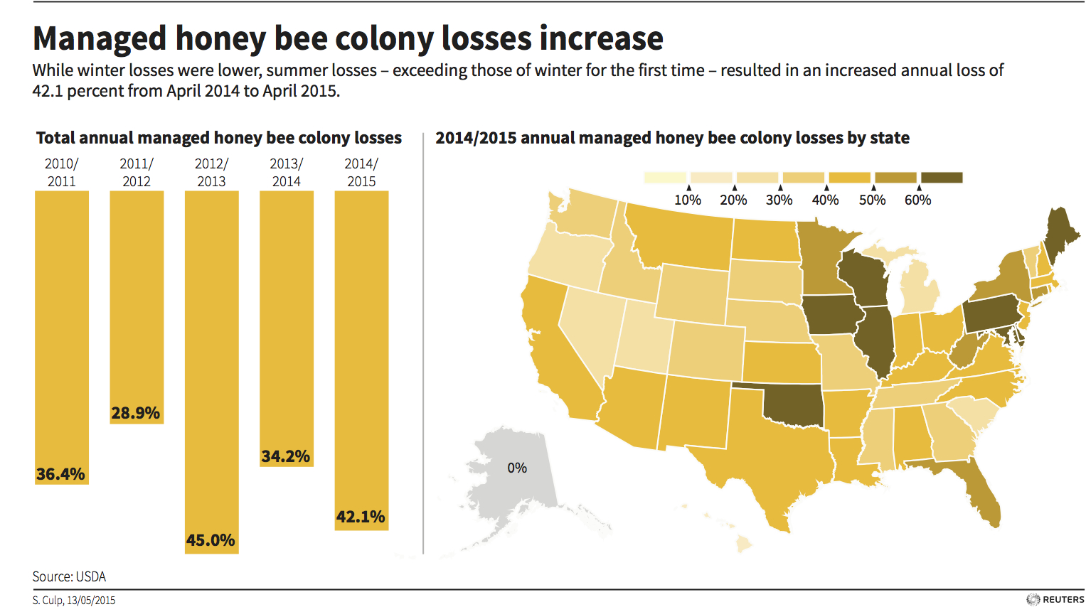 bee colony losses