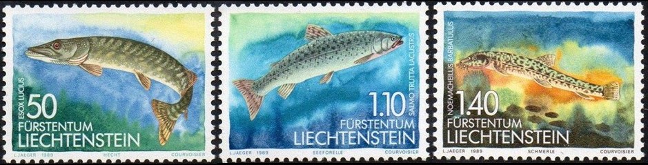 fish20
