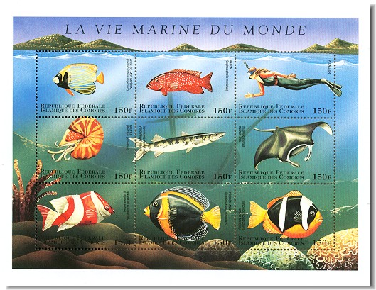 fish22