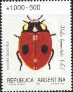 Study shows alarming decline of native ladybirds