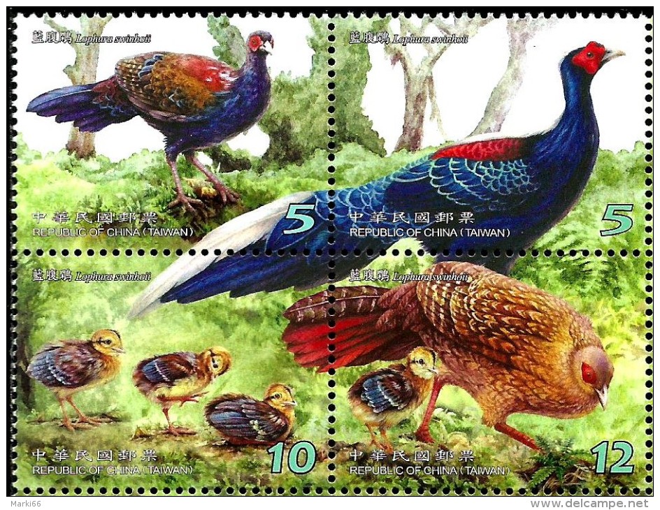 pheasant