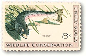 rainbowtrout