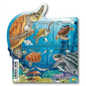 schildkroeten8