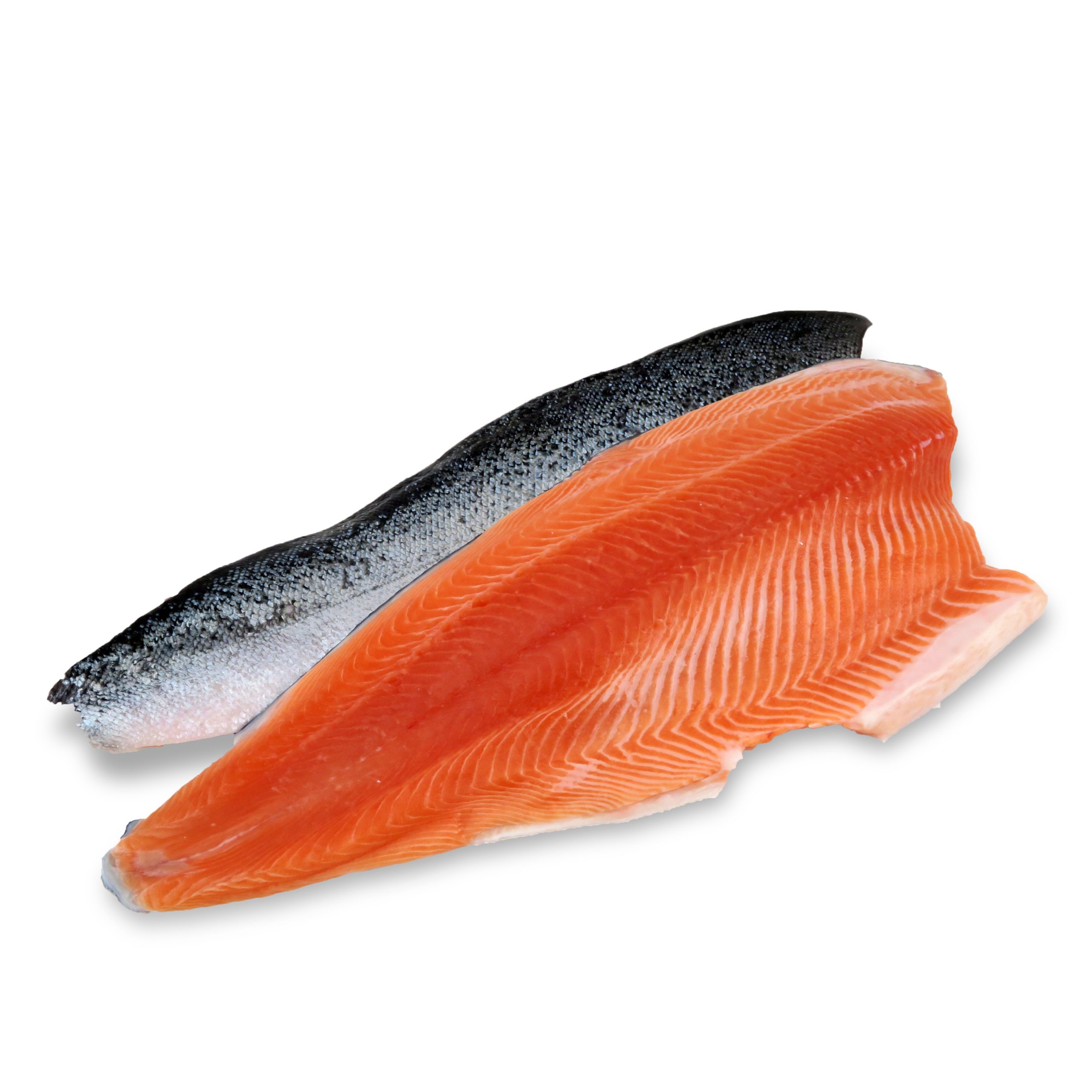 NZ salmon