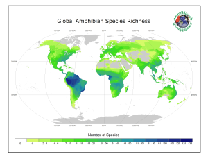 amphibian_rich_20170221