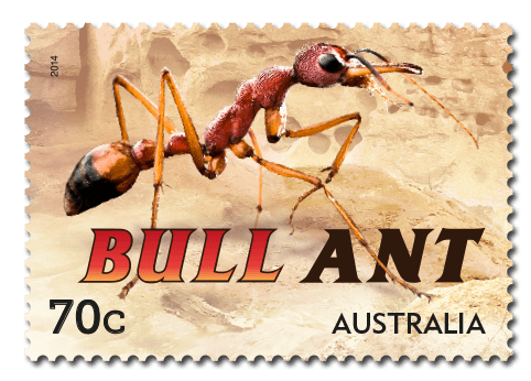 ant3