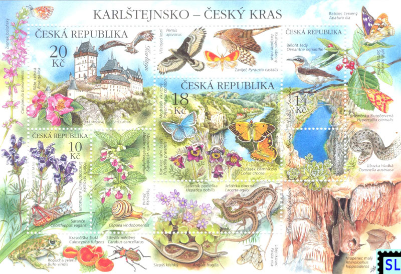 biodiversity