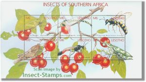 insects6