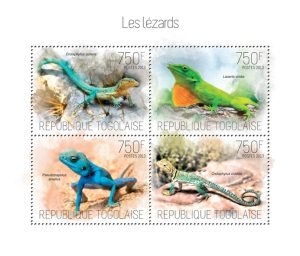 lizards