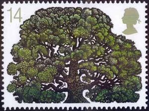 oak trees1