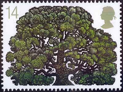 oak trees1