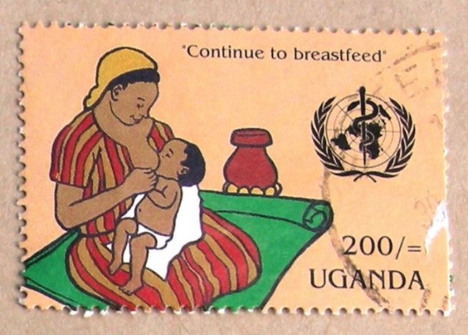 pregnancy