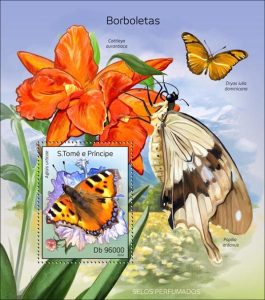 small tortoise butterfly
