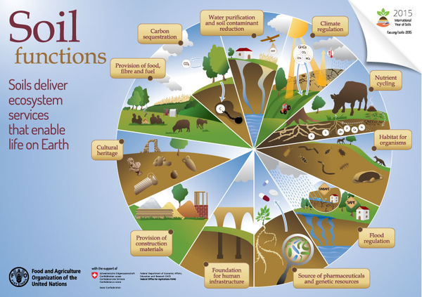 soil functions