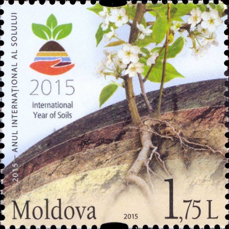 soil2015
