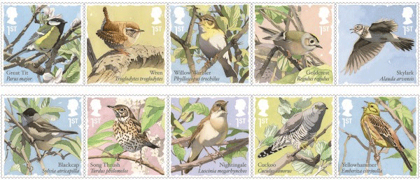 songbirds-hero-600x257