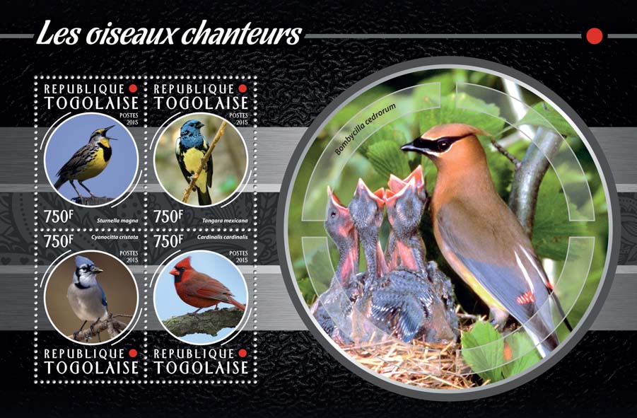 songbirds5