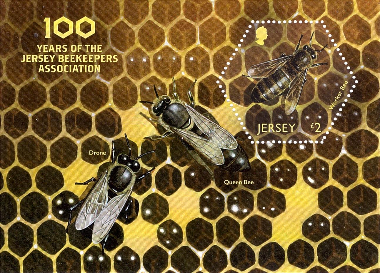 Queen Bee