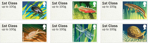 aquatic invertebrates1