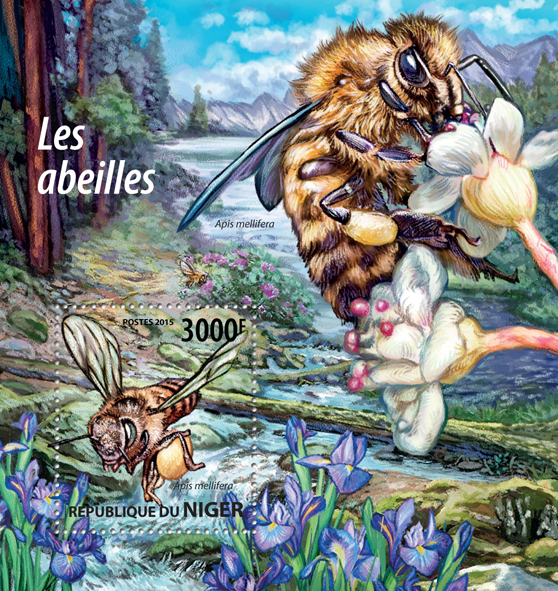 bees 30