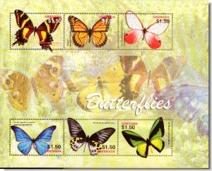 butterflies13
