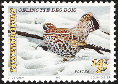 hazel grouse