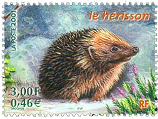 hedgehog6