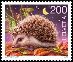 hedgehog8