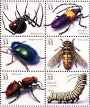 insect_spider%2520stamps[1]_1[1]