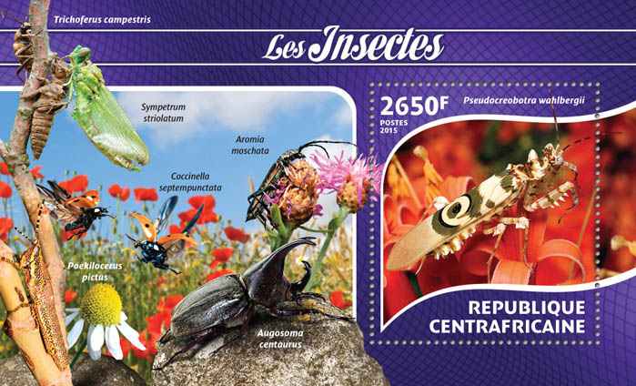 insects10