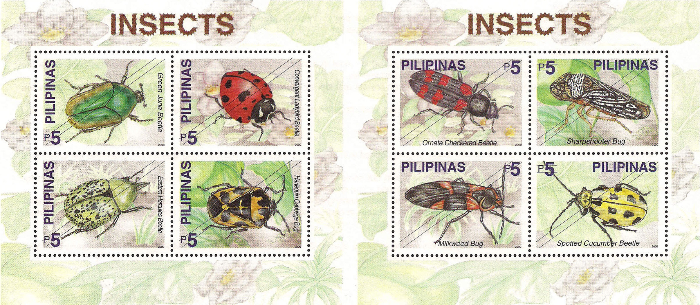 insects29