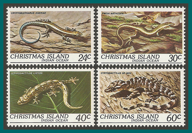lizards2