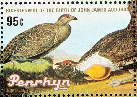sage grouse4