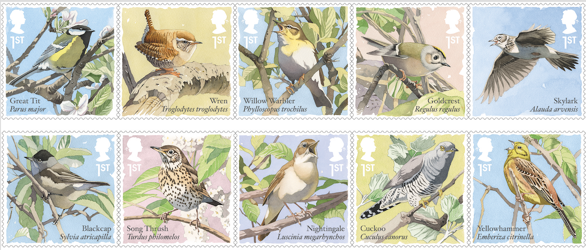 songbirds-set