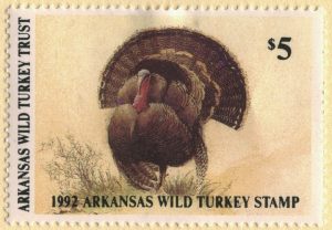wild turkey 1