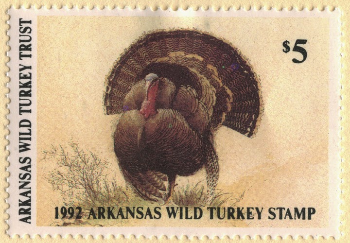 Wild turkeys are in trouble again
