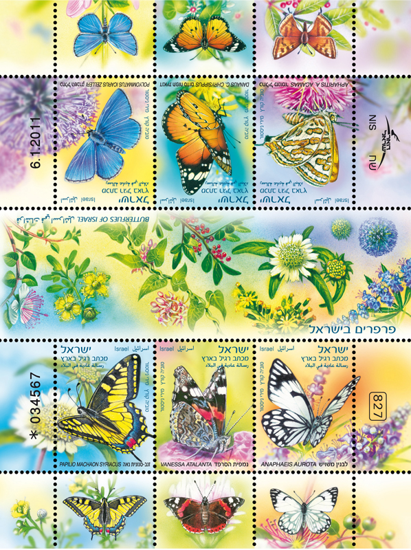 butterflies15