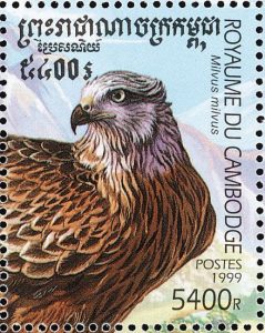 red kite1
