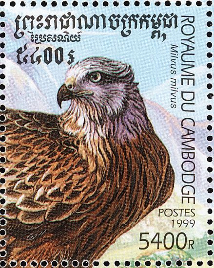 red kite1