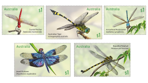 dragonflies