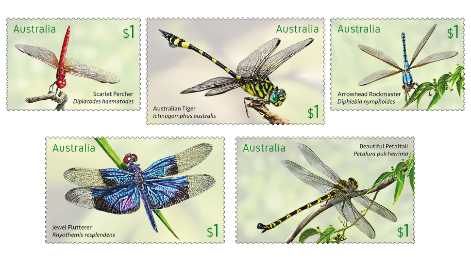 dragonflies