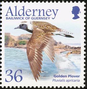 Half Scotland’s upland birds suffer significant long-term decline